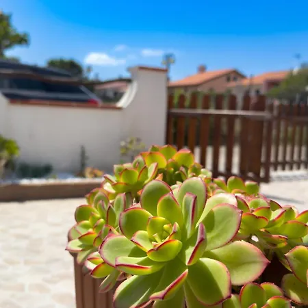 Sardinianworld - Casa S'architteddu * 푸트주 이두